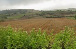 Teren 6800 mp in zona metropolitana Simnicul de Sus 