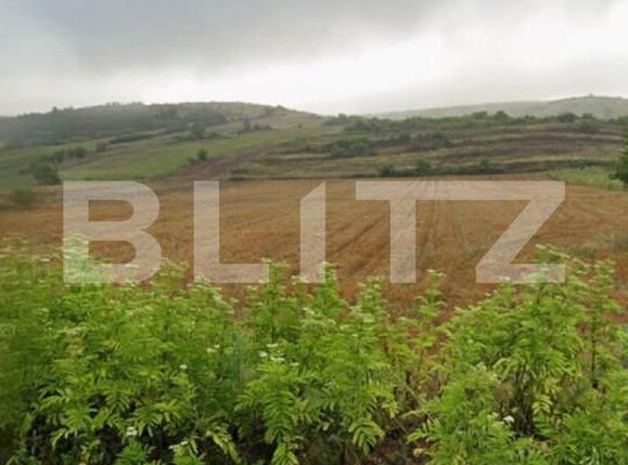 Teren de vânzare Simnicu de Sus  - 166257TV | BLITZ Craiova | Poza2