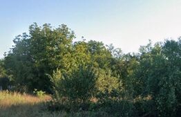 Teren 3994 mp, zona metropolitana Simnicul de Sus