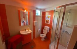 Spatiu comercial, 58 mp, zona Rovine