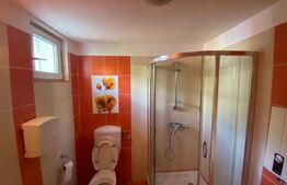 Spatiu comercial, 58 mp, zona Rovine