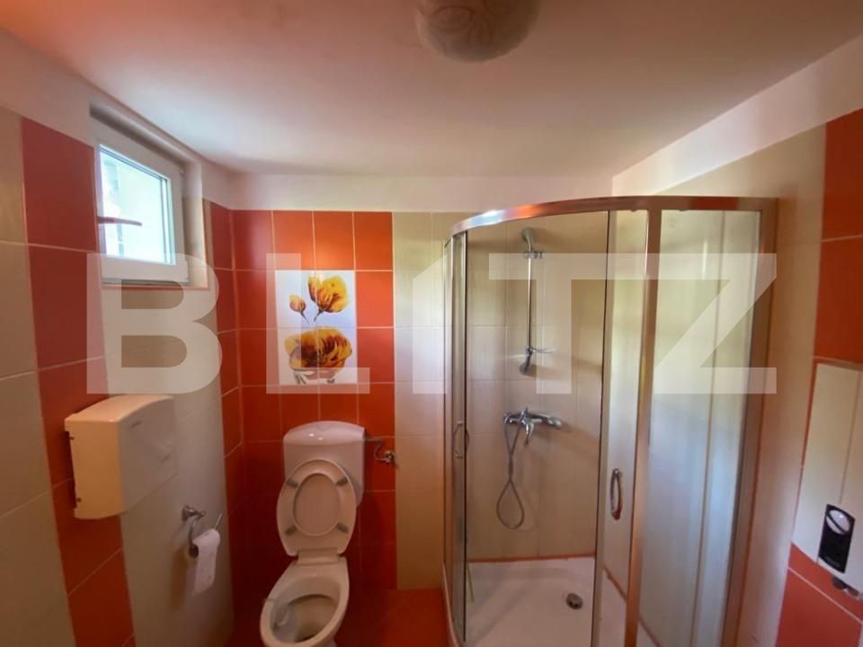 Spațiu comercial de închiriat Rovine - 166264SIC | BLITZ Craiova | Poza7