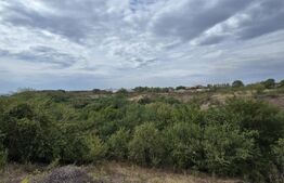 Teren 579 mp si deschidere de 14 ml, zona Carcea 