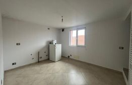 Casa P+1 in Brestei, 5 dormitoare si 674 mp teren 