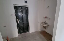 Camera camin, 20 mp, zona Henri Coanda 