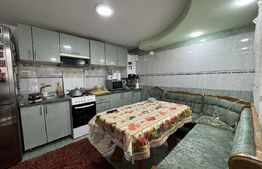 Casa P+1E, 150 mp utili, 408 mp teren, Carcea