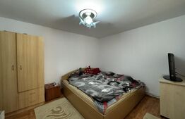 Casa P+1E, 150 mp utili, 408 mp teren, Carcea