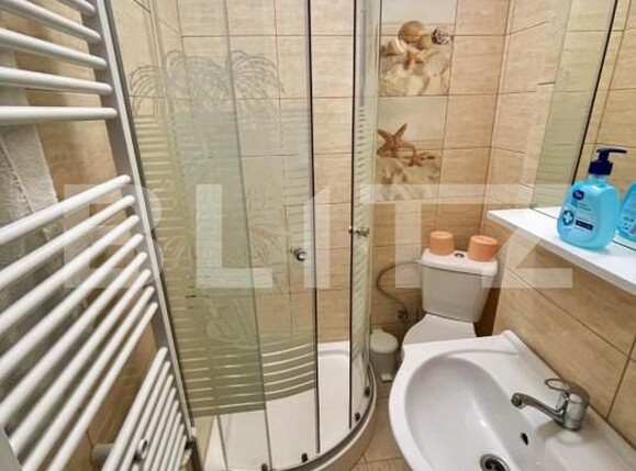 Garsonieră de vânzare Brazda lui Novac - 166455AV | BLITZ Craiova | Poza4