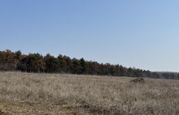 Parcele teren lângă pădure, 500 mp, utilități, zona Drumul Muntenilor