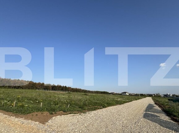 Teren de vânzare Plaiul Vulcănești - 166502TV | BLITZ Craiova | Poza6