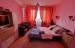 Camera de Camin modernă, 21 mp cu baie si bucatarie proprie, zona Valea Rosie