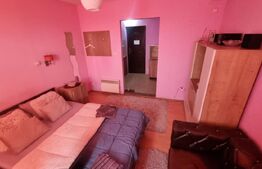 Camera de Camin modernă, 21 mp cu baie si bucatarie proprie, zona Valea Rosie