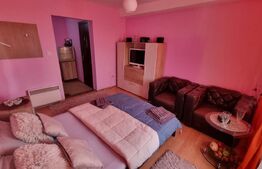 Camera de Camin modernă, 21 mp cu baie si bucatarie proprie, zona Valea Rosie