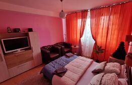 Camera de Camin modernă, 21 mp cu baie si bucatarie proprie, zona Valea Rosie