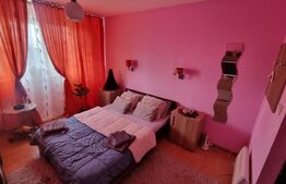 Camera de Camin modernă, 21 mp cu baie si bucatarie proprie, zona Valea Rosie