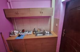 Camera de Camin modernă, 21 mp cu baie si bucatarie proprie, zona Valea Rosie