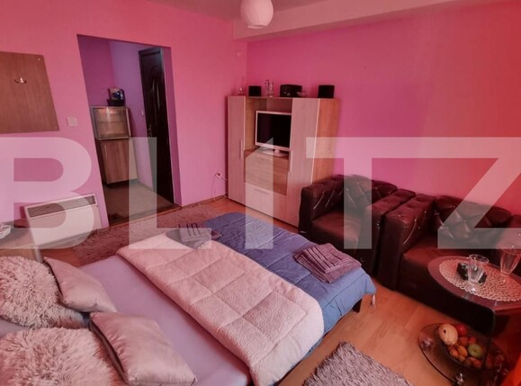 Garsonieră de vânzare Valea Rosie - 166505AV | BLITZ Craiova | Poza1