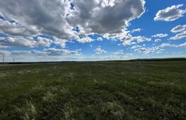 Teren extravilan, 2.800 mp, două fronturi, Izvorul Rece