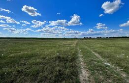 Teren extravilan, 2.800 mp, două fronturi, Izvorul Rece