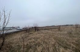 Teren 50.000 mp, zona Peugeot