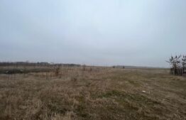 Teren 50.000 mp, zona Peugeot