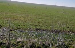 Teren intravilan cu o suprafata 1500 mp in zona Metro