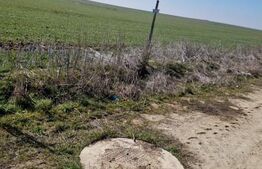 Teren intravilan cu o suprafata 1500 mp in zona Metro