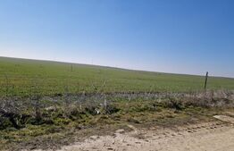 Teren intravilan cu o suprafata 1500 mp in zona Metro