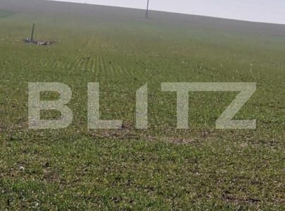 Teren de vânzare Exterior Est - 166816TV | BLITZ Craiova | Poza2