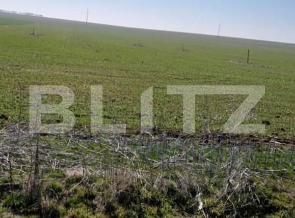 Teren de vânzare Exterior Est - 166816TV | BLITZ Craiova | Poza3