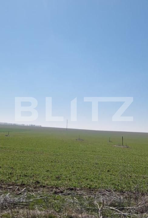 Teren de vânzare Exterior Est - 166816TV | BLITZ Craiova | Poza4