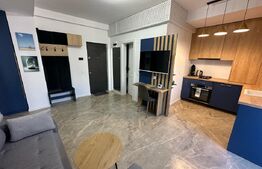 Studio modern, constructie 2024, zona Rovine Parculet