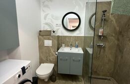 Studio modern, constructie 2024, zona Rovine Parculet