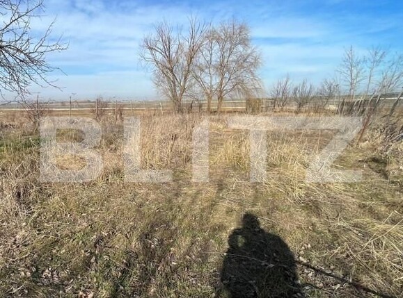 Casa de vânzare 4 camere Exterior Est - 166878CV | BLITZ Craiova | Poza7