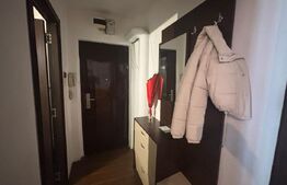 Garsoniera de vanzare, 33 mp, zona Racheta-Craiovita Noua