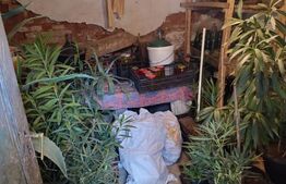 Casa batraneasca, D+P, Podari ,teren 507mp, Deschidere 21.5m