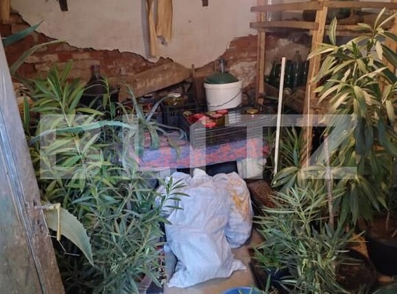 Casa de vânzare 4 camere Podari - 167004CV | BLITZ Craiova | Poza2