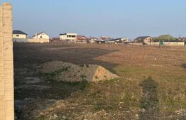 Parcele teren intravilan in zona Albesti