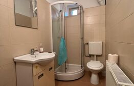 Casa P+1, Brazda lui Novac, 380 mp de teren