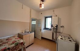 Casa P+1, Brazda lui Novac, 380 mp de teren