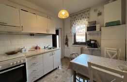 Casa P+1, Brazda lui Novac, 380 mp de teren