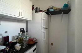 Casa P+1, Brazda lui Novac, 380 mp de teren