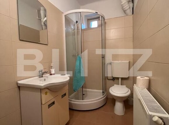 Casa de vânzare 6 camere Brazda lui Novac - 167069CV | BLITZ Craiova | Poza20