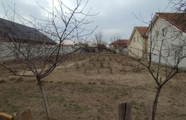 Teren intravilan Malu Mare 500mp, deschidere 17mp, pret 50 euro/mp