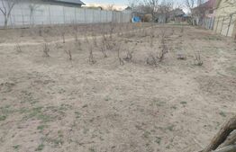 Teren intravilan Malu Mare 500mp, deschidere 17mp, pret 50 euro/mp