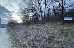 Oportunitate! 5 hectare Padure, Satul de Vacanta, parcelabil, Podari