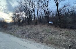 Oportunitate! 5 hectare Padure, Satul de Vacanta, parcelabil, Podari