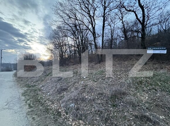 Teren de vânzare Exterior Sud - 167110TV | BLITZ Craiova | Poza2