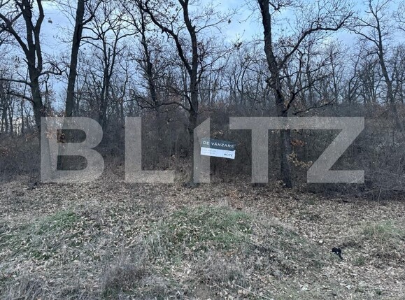 Teren de vânzare Exterior Sud - 167110TV | BLITZ Craiova | Poza3