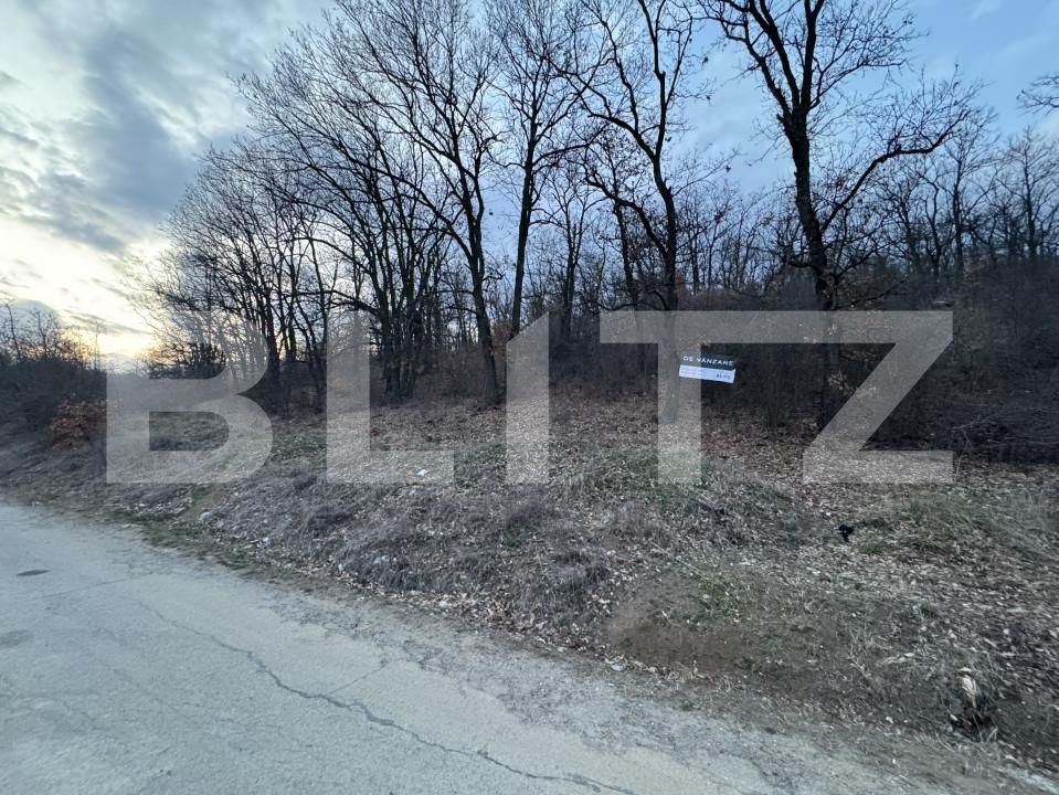 Teren de vânzare Exterior Sud - 167110TV | BLITZ Craiova | Poza4